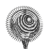Стрейнер-хоторн Cocktail Design Lighthouse