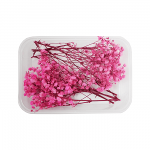Eco Garnish Гипсофила 300 мл. (розовый)