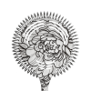 Стрейнер-хоторн Cocktail Design Hana by Tattoo.Darina