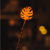 Барная Ложка Cocktail Design 41 см Monstera