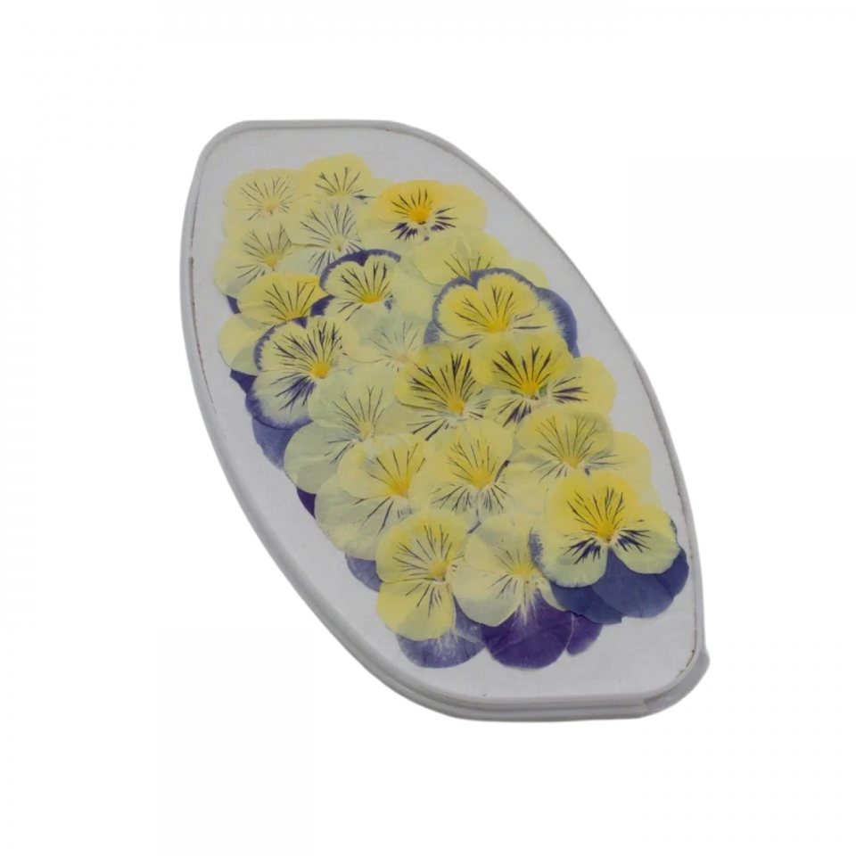 Ботанические гарниши Flowers/Цветы (плоские) 1000 мг. - Глаза кошки (плоская)